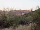 photo thumbnail #4