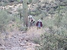 photo thumbnail #2