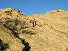 photo thumbnail #12