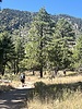 photo thumbnail #2