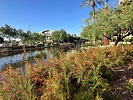 photo thumbnail #10