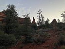 photo thumbnail #1