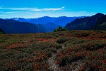 photo thumbnail #10