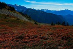 photo thumbnail #11