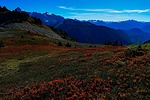 photo thumbnail #12