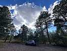 photo thumbnail #6