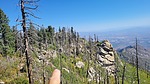 photo thumbnail #8