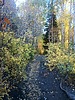 photo thumbnail #3