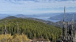 photo thumbnail #8