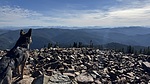 photo thumbnail #10