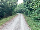 photo thumbnail #6