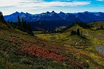 photo thumbnail #14