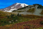 photo thumbnail #10