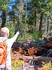 photo thumbnail #5