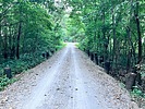 photo thumbnail #11