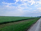 photo thumbnail #12