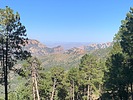 photo thumbnail #4