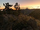 photo thumbnail #13