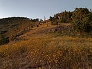photo thumbnail #12