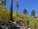 photo thumbnail #7