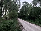 photo thumbnail #3