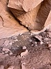 photo thumbnail #12