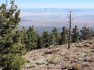 photo thumbnail #13