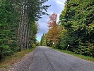 photo thumbnail #7