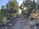 photo thumbnail #3