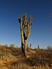 photo thumbnail #4