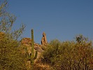 photo thumbnail #2