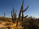 photo thumbnail #13