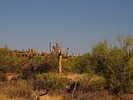 photo thumbnail #3