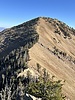 photo thumbnail #14