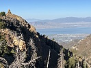 photo thumbnail #7