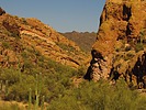 photo thumbnail #15