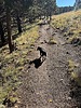photo thumbnail #6