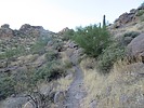photo thumbnail #4