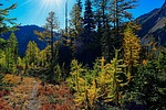 photo thumbnail #11