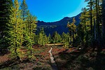 photo thumbnail #5