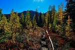 photo thumbnail #12