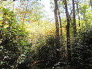 photo thumbnail #13