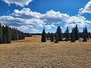 photo thumbnail #14