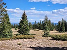 recent photo