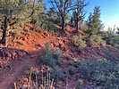 photo thumbnail #6