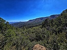 photo thumbnail #2