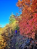 photo thumbnail #8