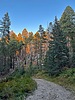 photo thumbnail #12