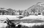 2024-10-10 :3: Humphreys Saddle :: joebartels