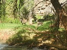 photo thumbnail #11